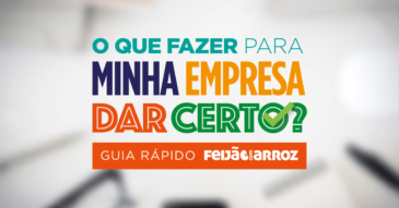 Guia Prático - Fazer minha empresa dar certo